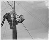 Telephone pole work 